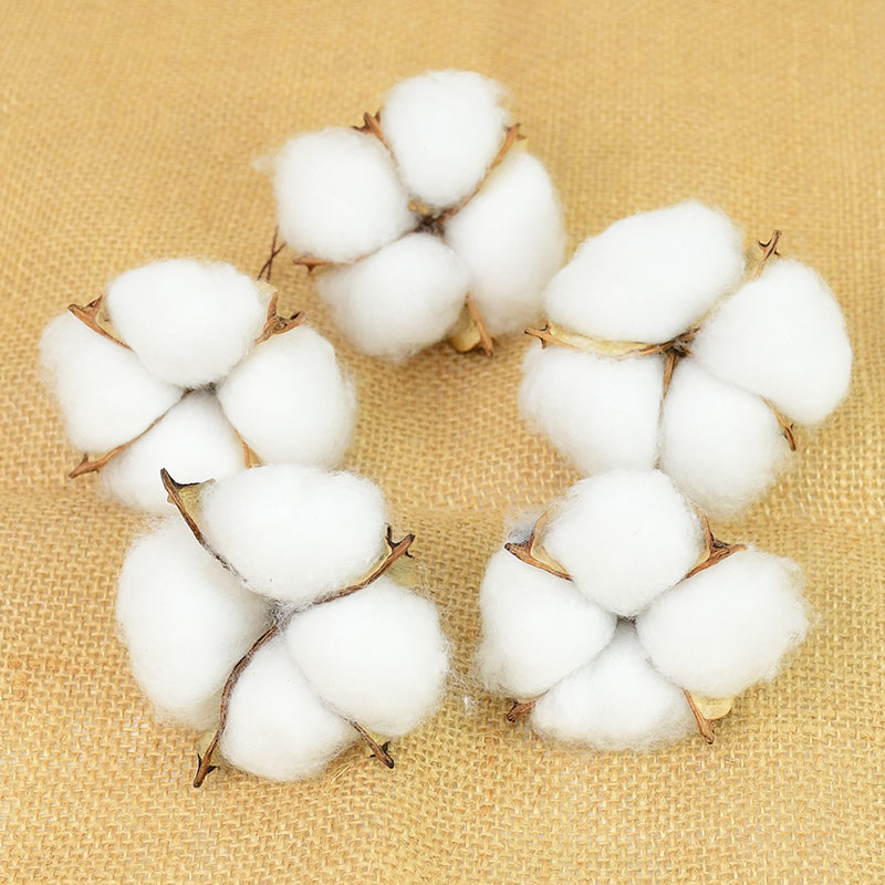 10Pcs White Cotton Florist Sup - Florist Wreath Supply 评论和价格