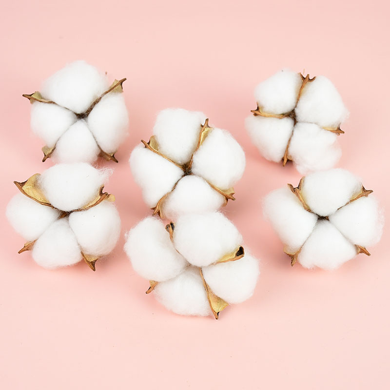 10Pcs White Cotton Florist Sup - Florist Wreath Supply 评论和价格