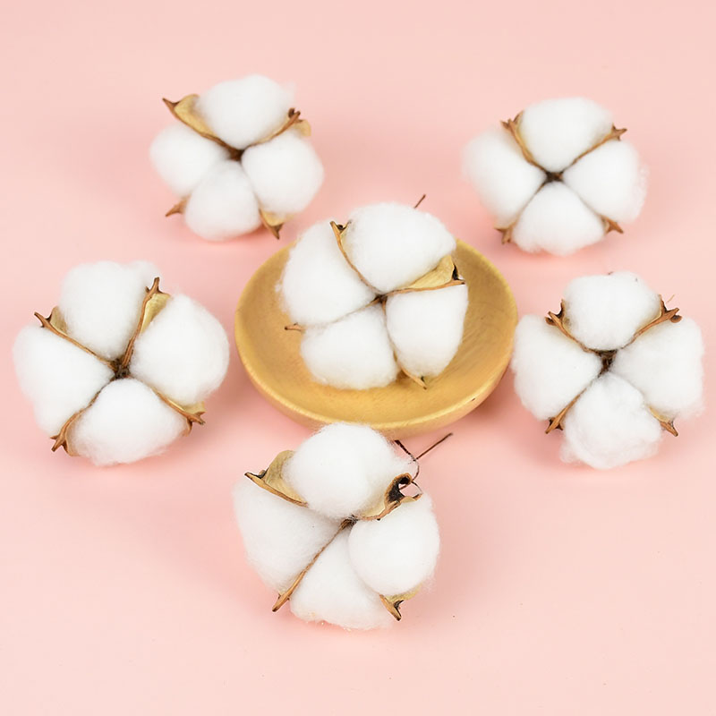 10Pcs White Cotton Florist Sup - Florist Wreath Supply 评论和价格