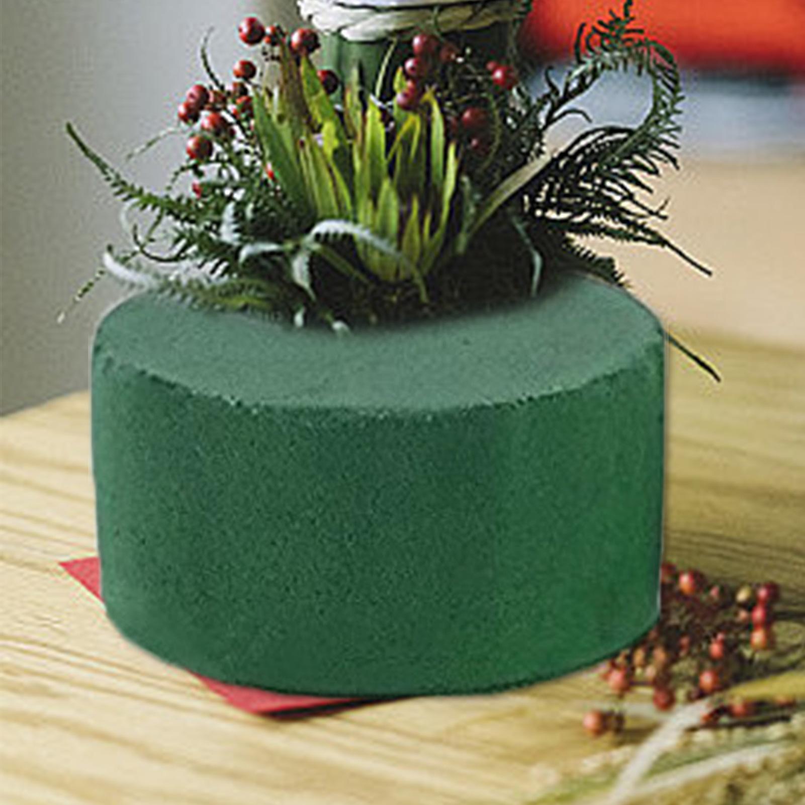 6pcs Green Floral Foam Green D - Floral Foam Oasis 评论和价格