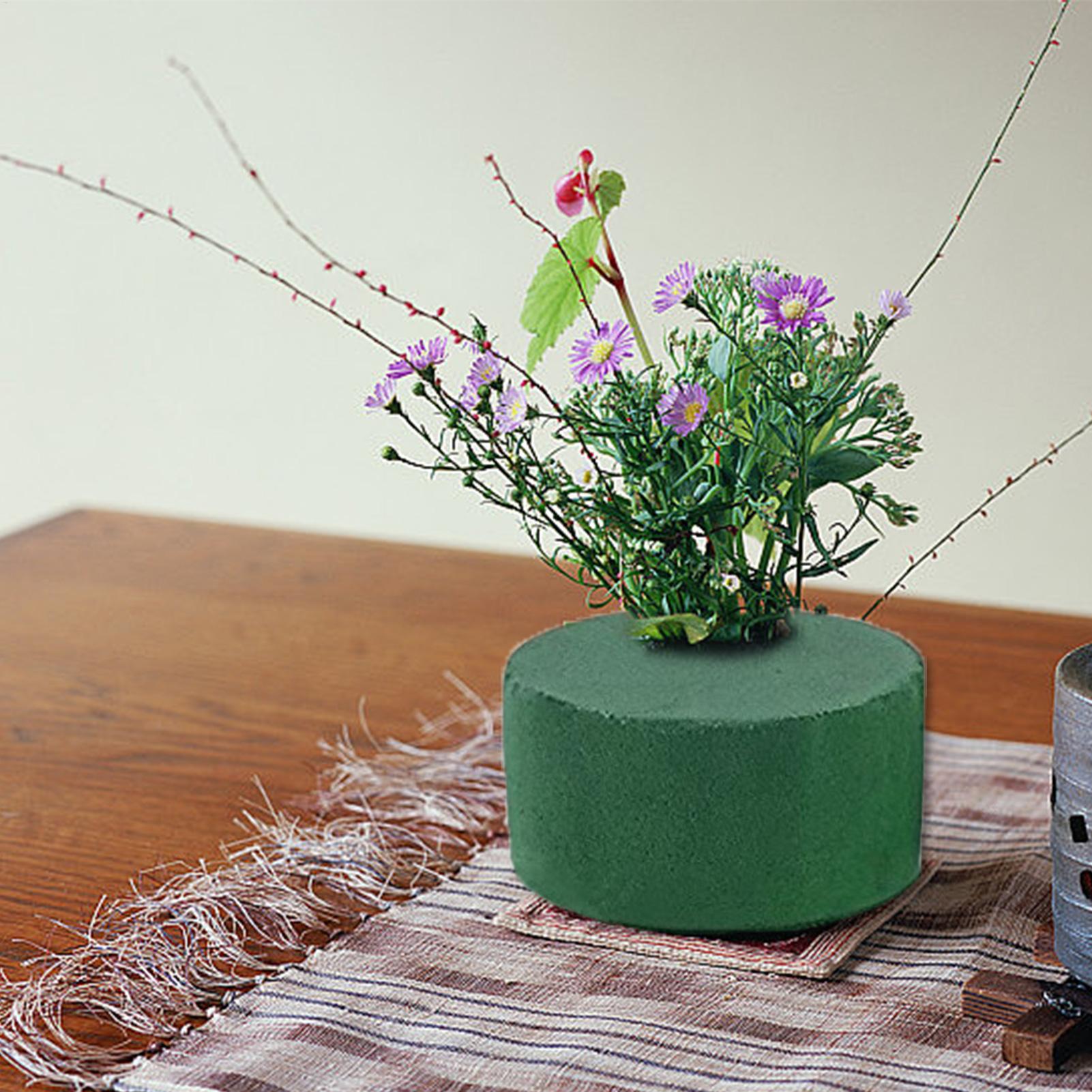 6Pcs Floral Foam Blocks for Fr - Floral Foam Oasis 评论和价格