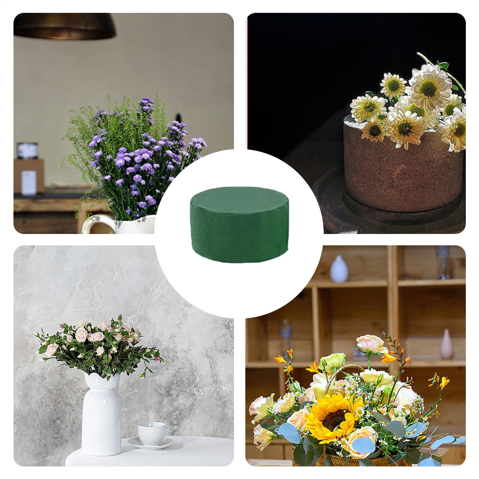 6Pcs Floral Foam Blocks for Fr - Floral Foam Oasis 评论和价格
